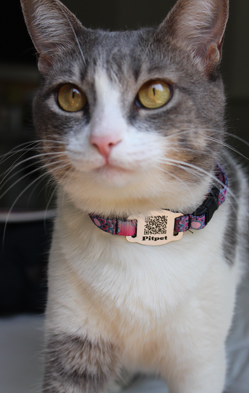 Juliana, tutora da Nina